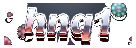 hnq1 logo